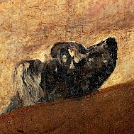 PHAS/Universal Images Group via Getty Images