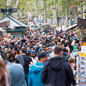 muratart/Shutterstock