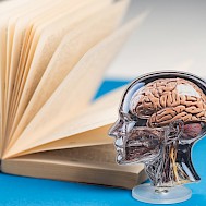 Norb_KM/Shutterstock