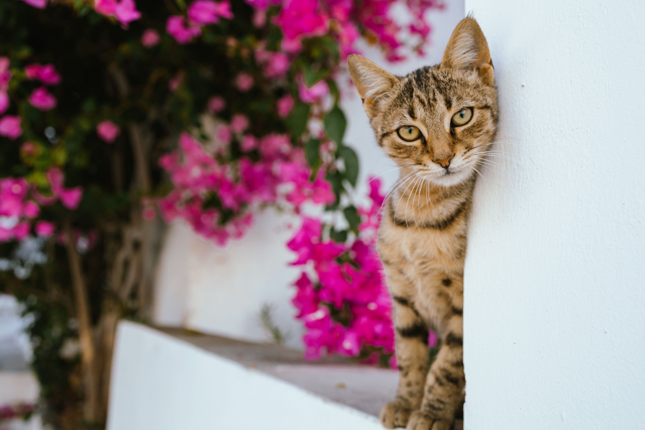 Stivog/Shutterstock.com