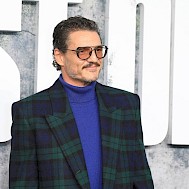 Joe Seer/Shutterstock