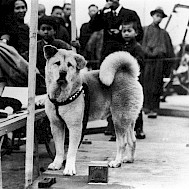 History/Universal Images Group via Getty Images