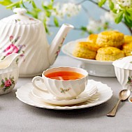 Anna_Pustynnikova/Shutterstock