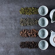 Ivanfirst/Shutterstock