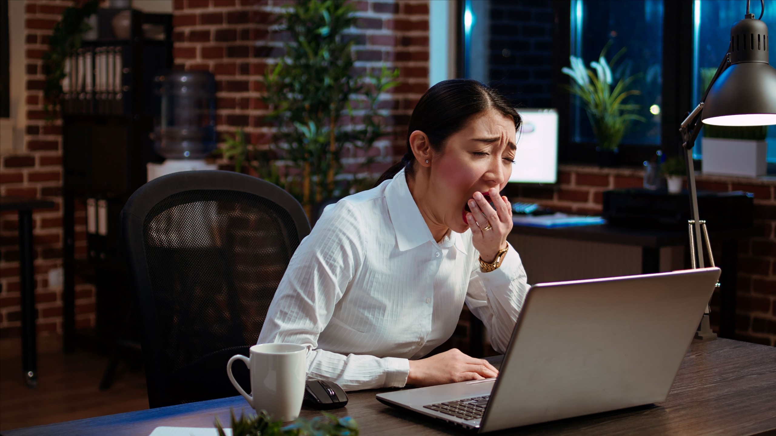 DC Studio/Shutterstock.com