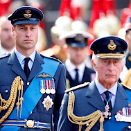 Max Mumby/Indigo/Getty Images