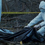 Max Acronym/Shutterstock.com