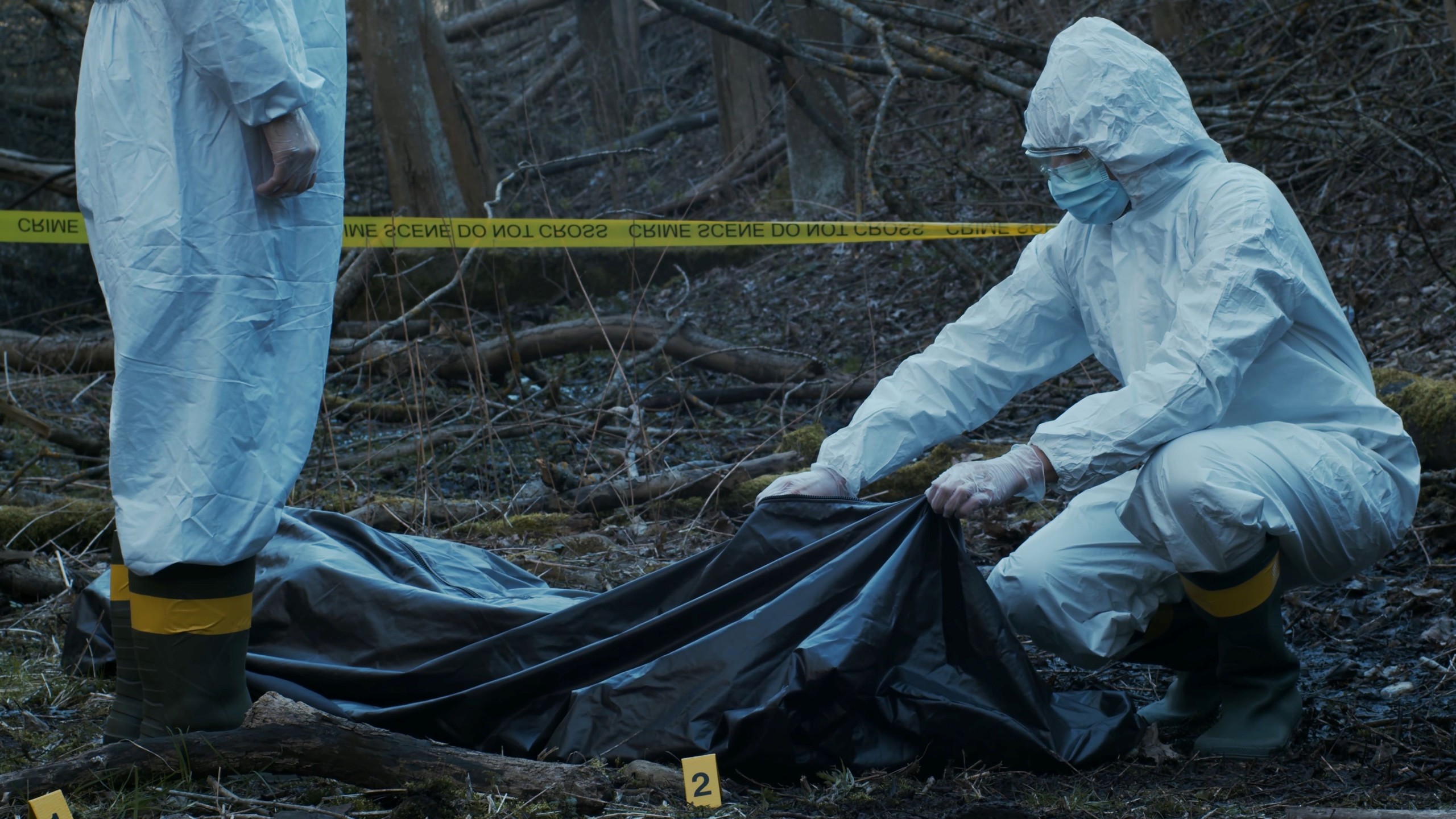 Max Acronym/Shutterstock.com