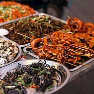 Ann Kapustina/Shutterstock.com