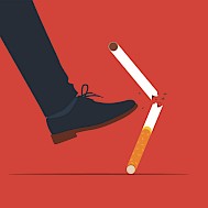 Gannvector/Shutterstock.com