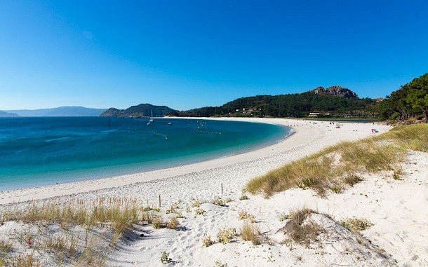 VALERIA QUESADA/Shutterstock