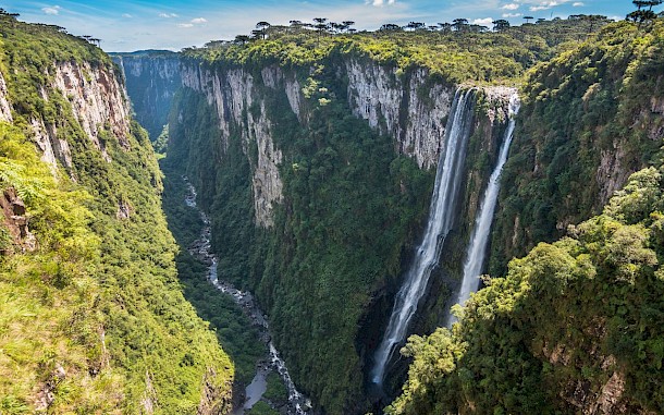 Bernard Barroso/Shutterstock