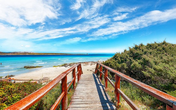 Vadym Lavra/Shutterstock