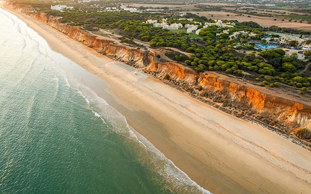 marcin jucha/Shutterstock