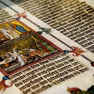 Alessandro Cristiano/Shutterstock.com