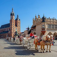 k_samurkas/Shutterstock.com