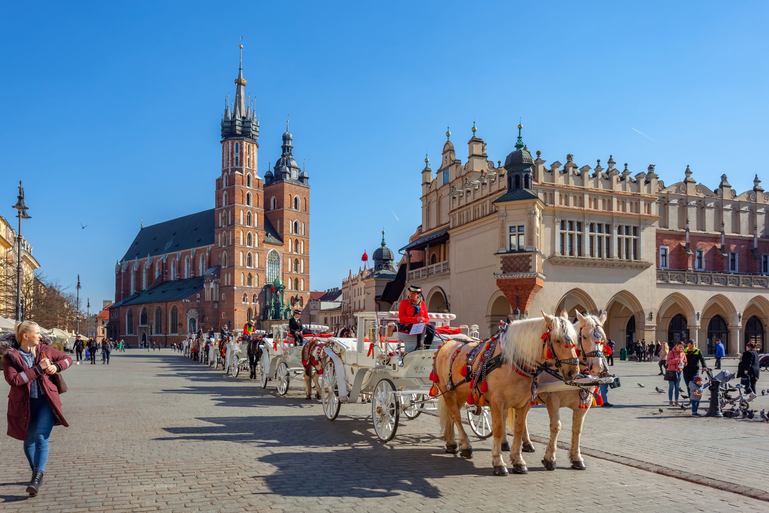 k_samurkas/Shutterstock.com