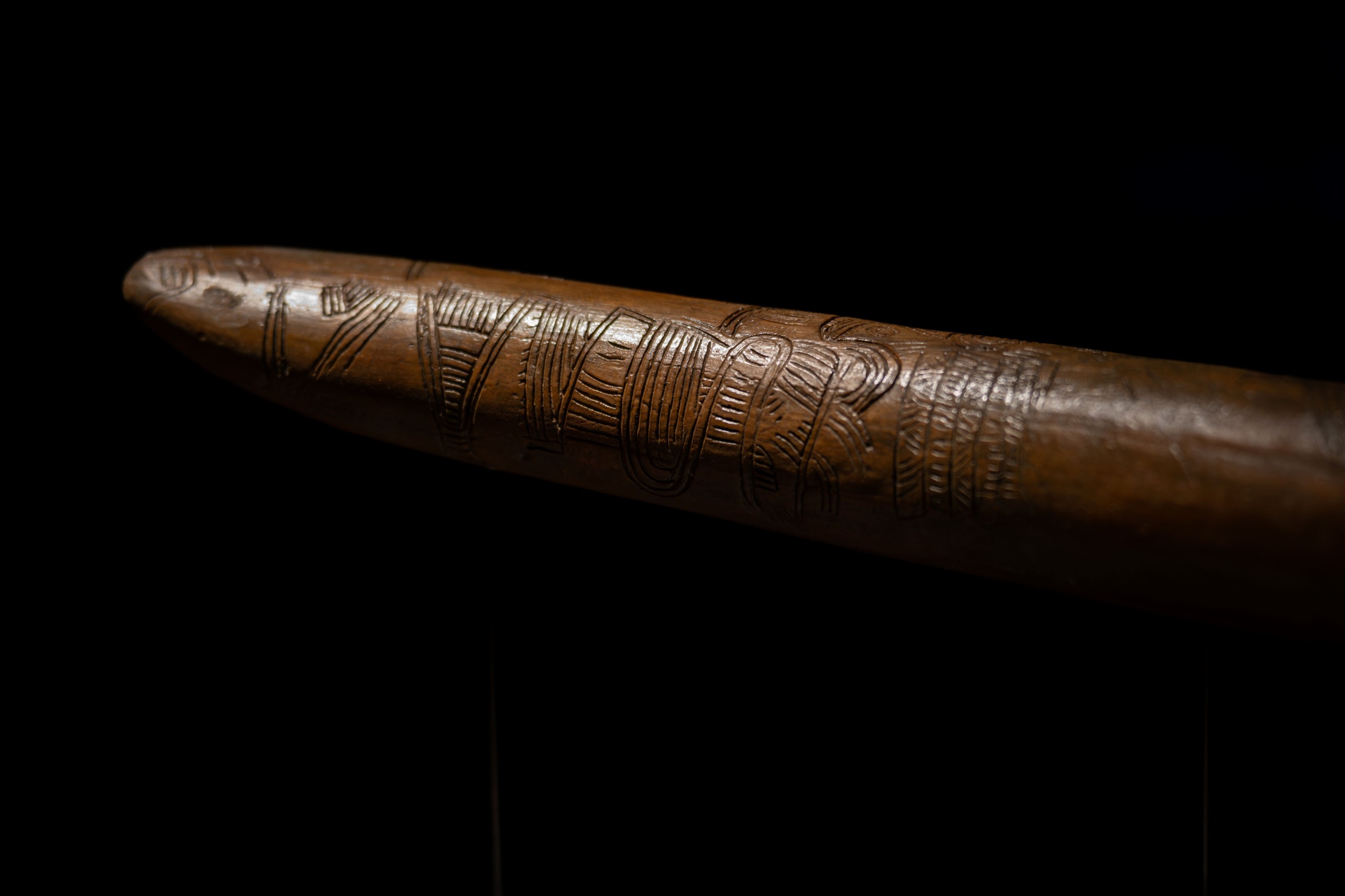 Lapis2380/Shutterstock.com