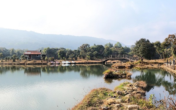 S Surong/Shutterstock