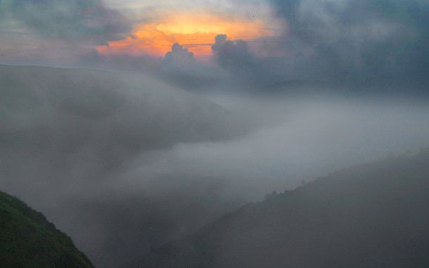 Rahul D'silva/Shutterstock