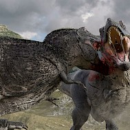 ishibashi seiichi/Shutterstock.com