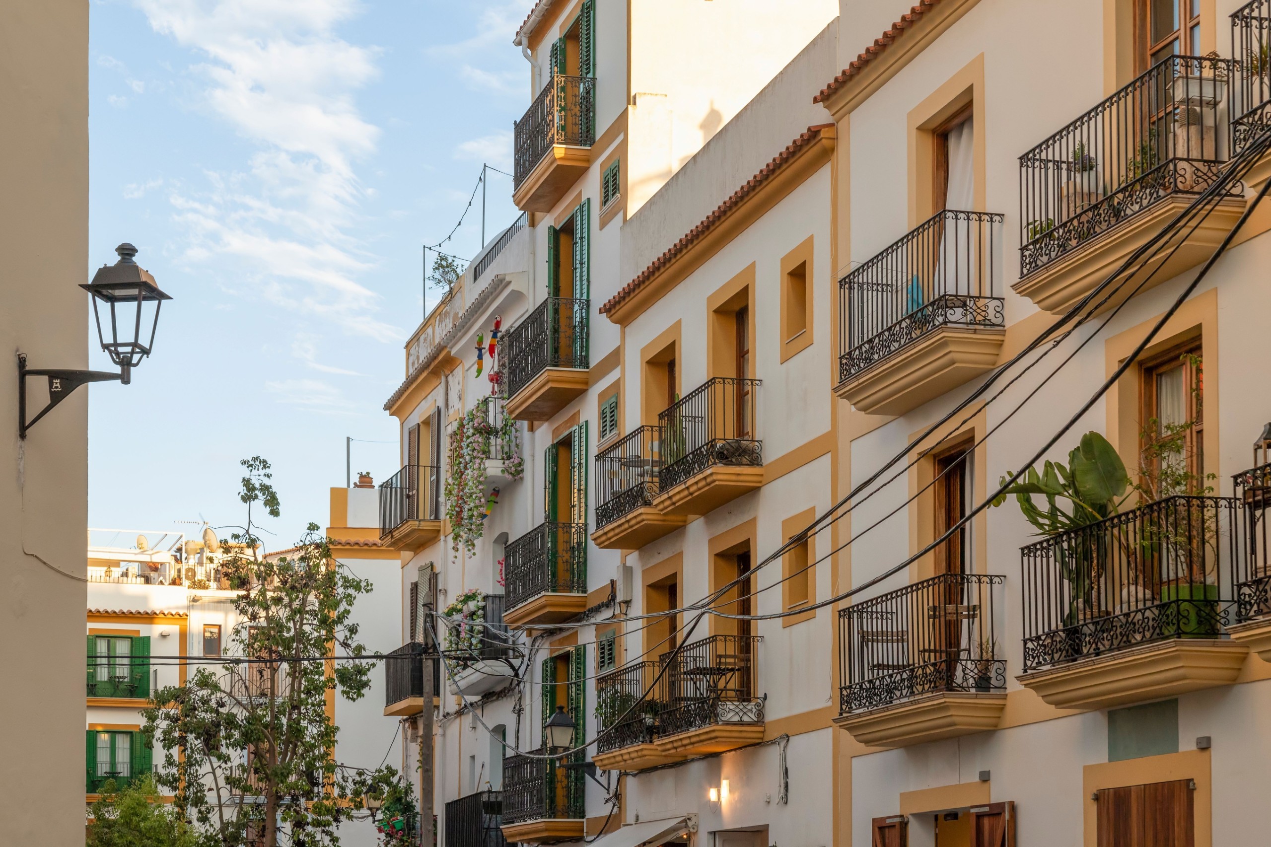 Wolf-photography/Shutterstock.com