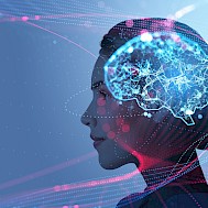 ImageFlow/Shutterstock.com