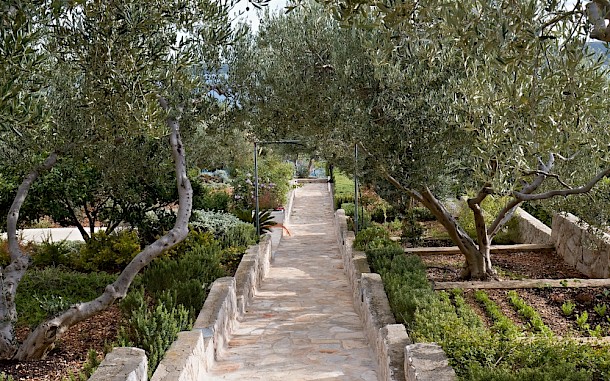 Rostasedlacek/Shutterstock