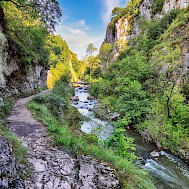 Vadym Lavra/Shutterstock