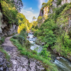 Vadym Lavra/Shutterstock