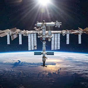 Dima Zel / Shutterstock