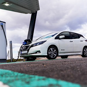 Boumen Japet / Shutterstock