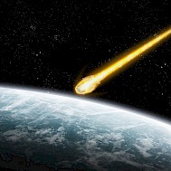 sdecoret/Shutterstock.com