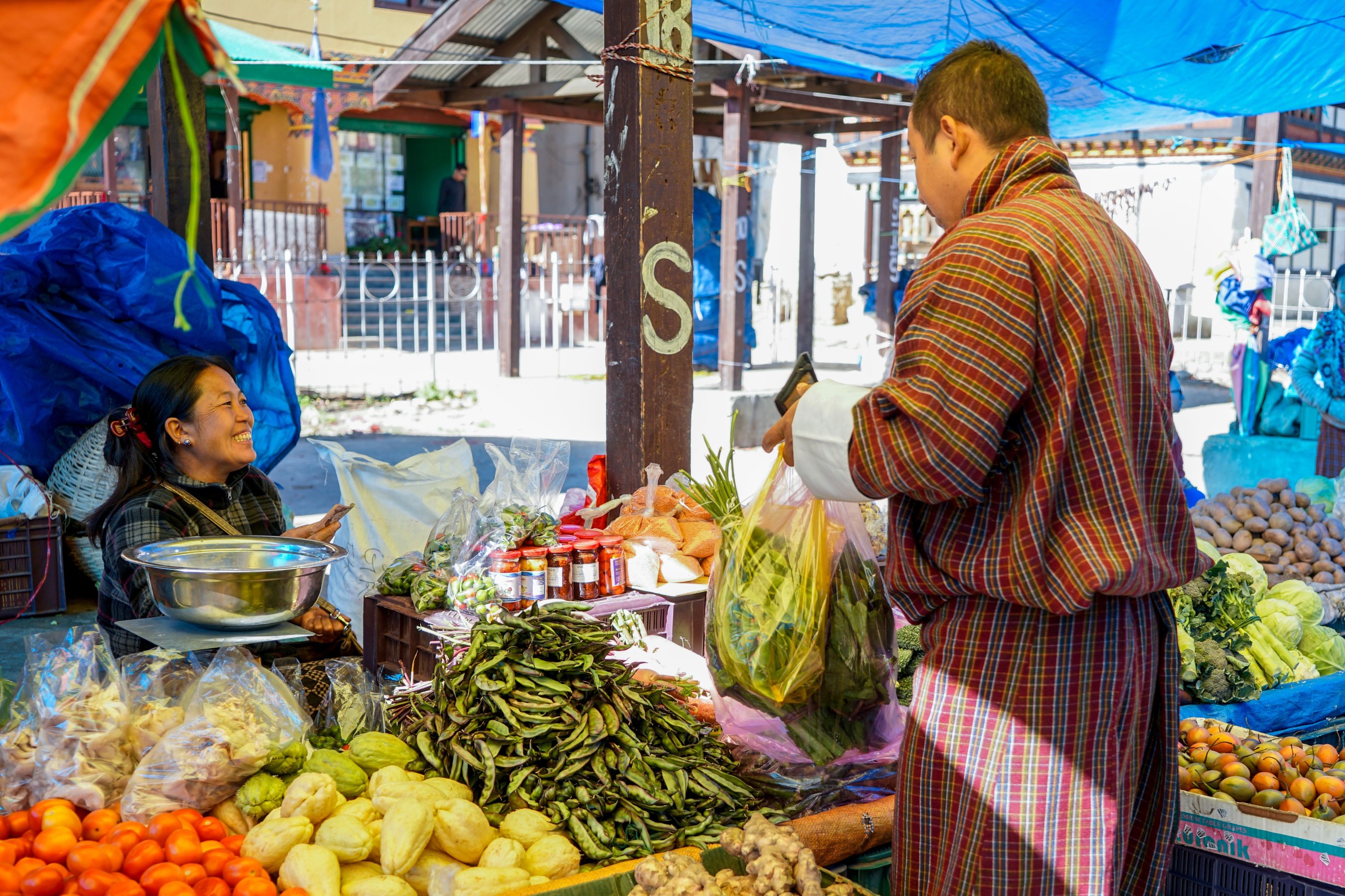 angela Meier/Shutterstock.com