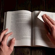 Grivcova Olga/Shutterstock.com