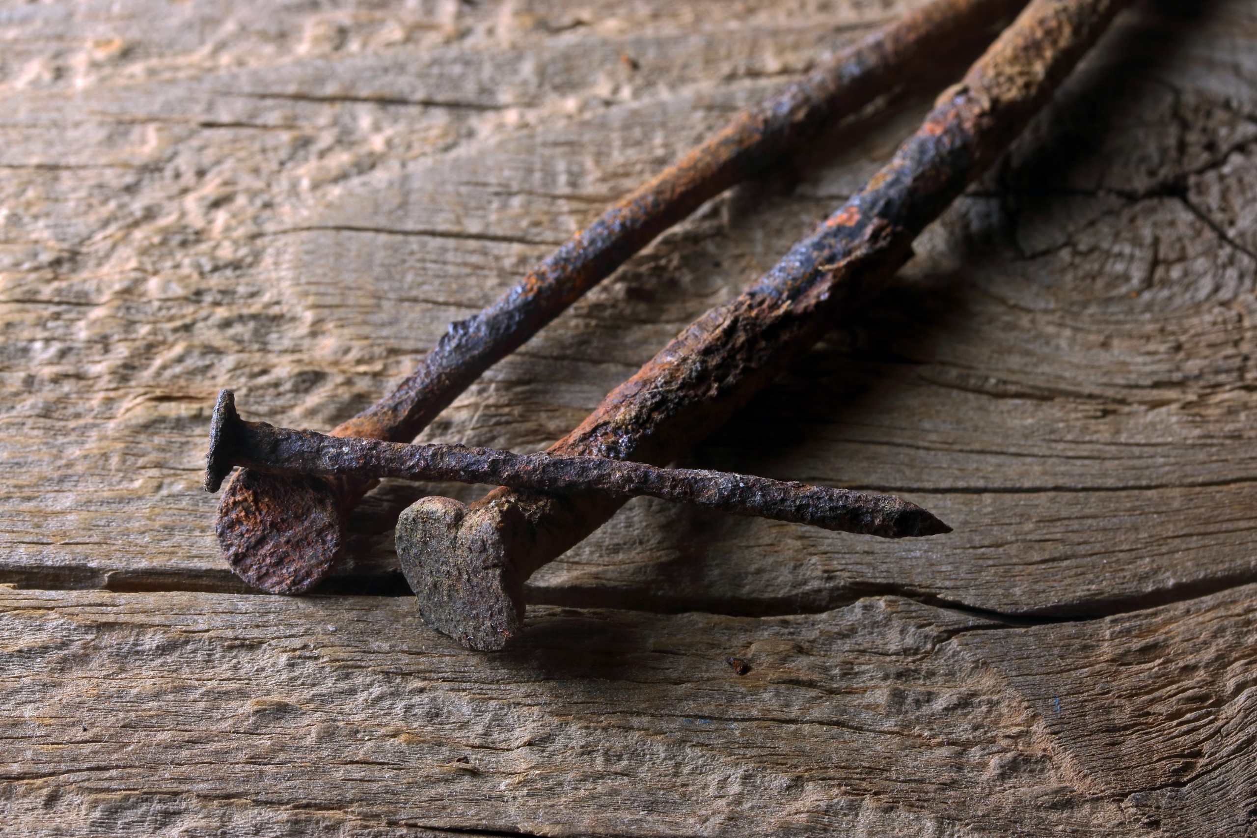 BlueSnap/Shutterstock