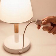 Mariana Serdynska/Shutterstock