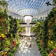 Sean Hsu/Shutterstock