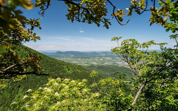 Richard Rajnai/Shutterstock