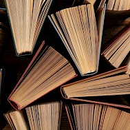 Pixel-Shot/Shutterstock