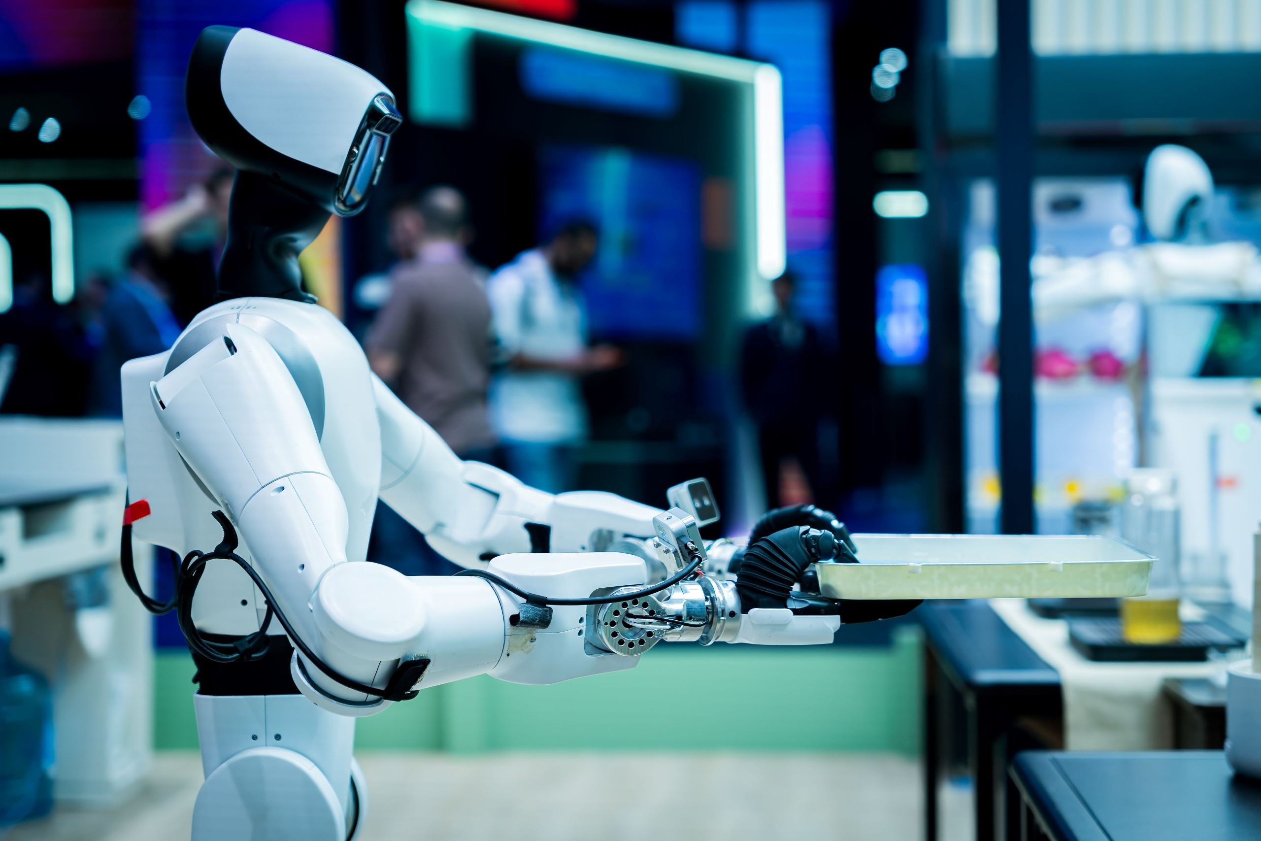 davide bonaldo/Shutterstock.com