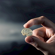 Sergey Nivens/Shutterstock