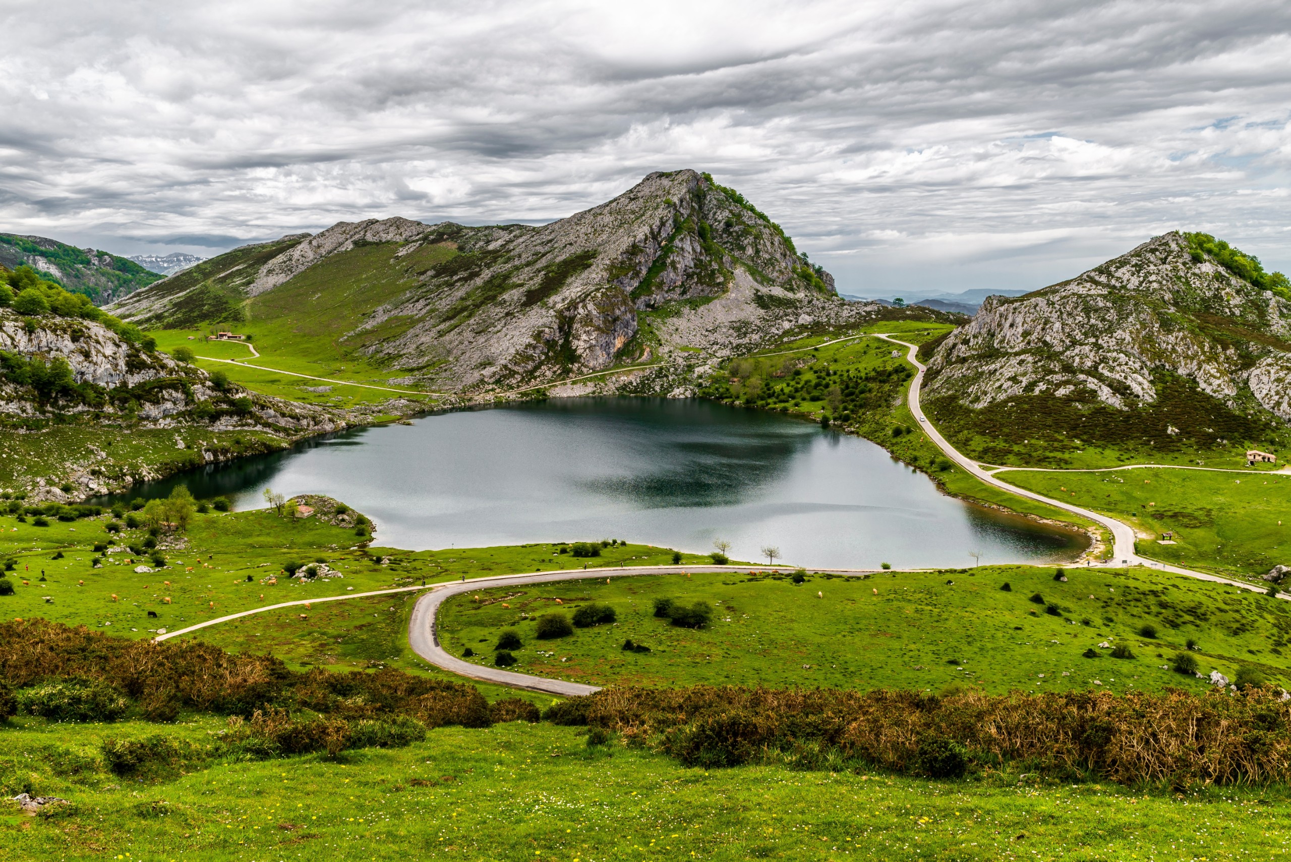 Sebastian intelisano/Shutterstock