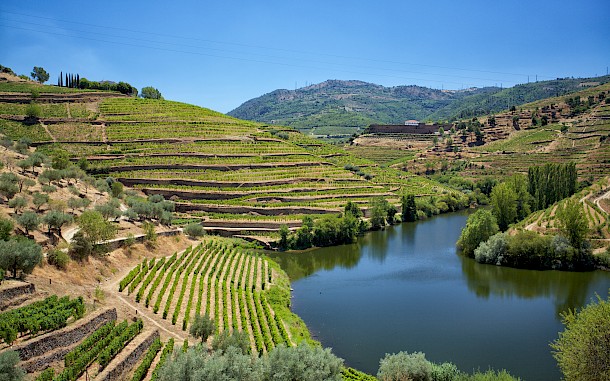 Pavel Elias/Shutterstock