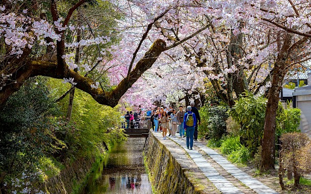 cowardlion/Shutterstock