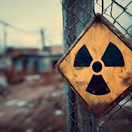 Sussa Mgt/Shutterstock