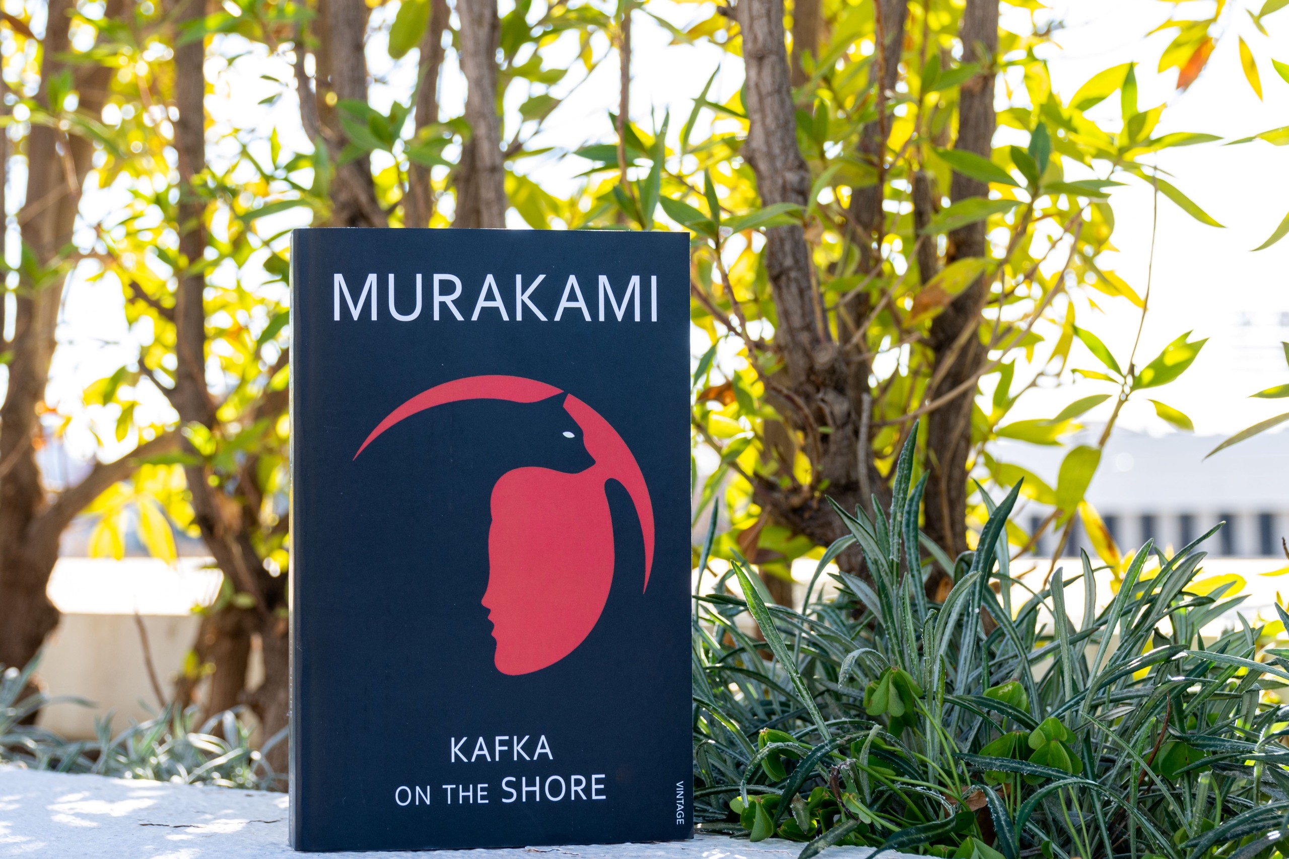 hamdi bendali/Shutterstock.com