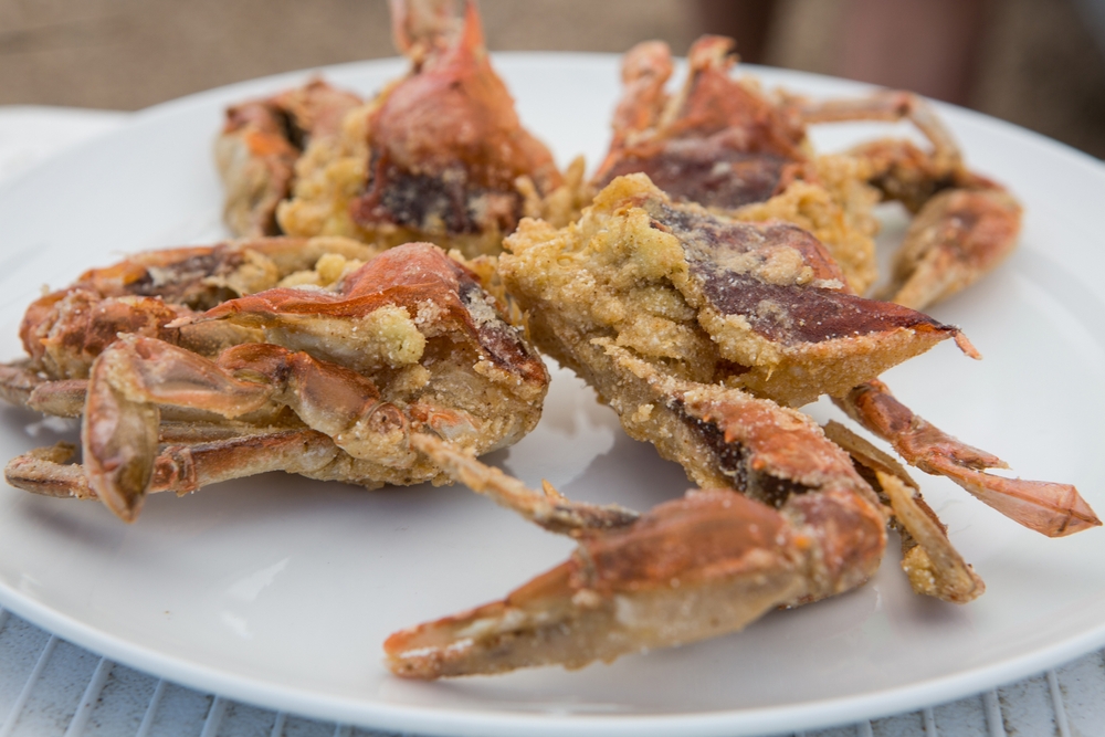 Sara Harris Photography / Shutterstock