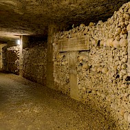 Mikhail Gnatkovskiy/Shutterstock