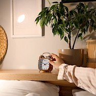 Pixel-Shot/Shutterstock.com